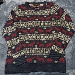 Holiday/winter sweater